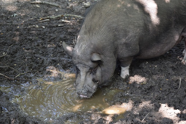域的常态化 域的常态化