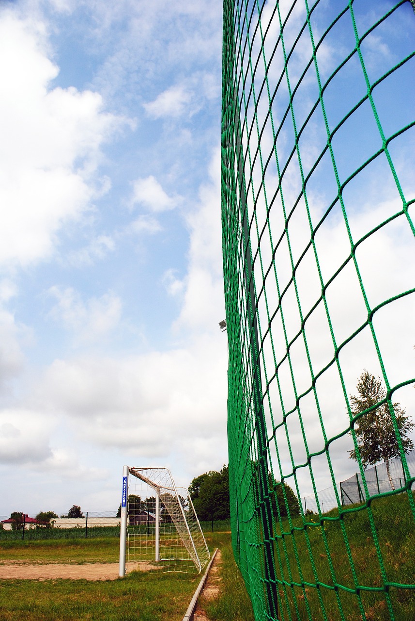 的整体表现 的整体表现